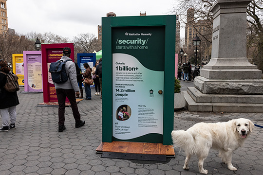 Dog near pop-up door in NYC, Let's Open the Door campaign