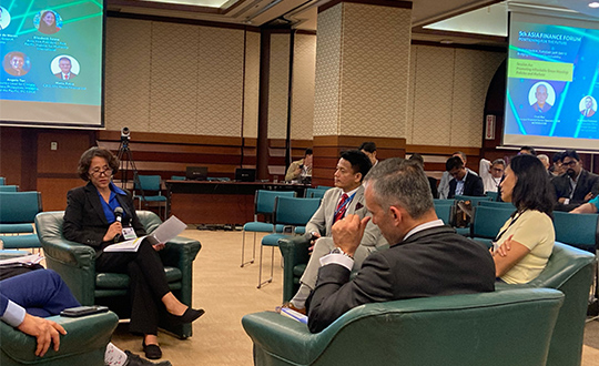 Habitat vice president for Asia-Pacific Liz Satow at ADB pan