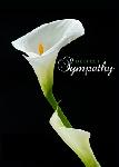 Click here for more information about Deepest Sympathy