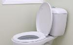Click here for more information about Low Flow Toilet